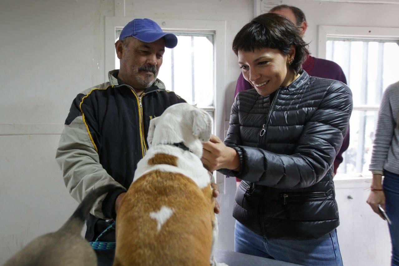 Mayra recorrió la jornada de castraciones que se realizó zoonosis en el PROMEBA de Quilmes Oeste