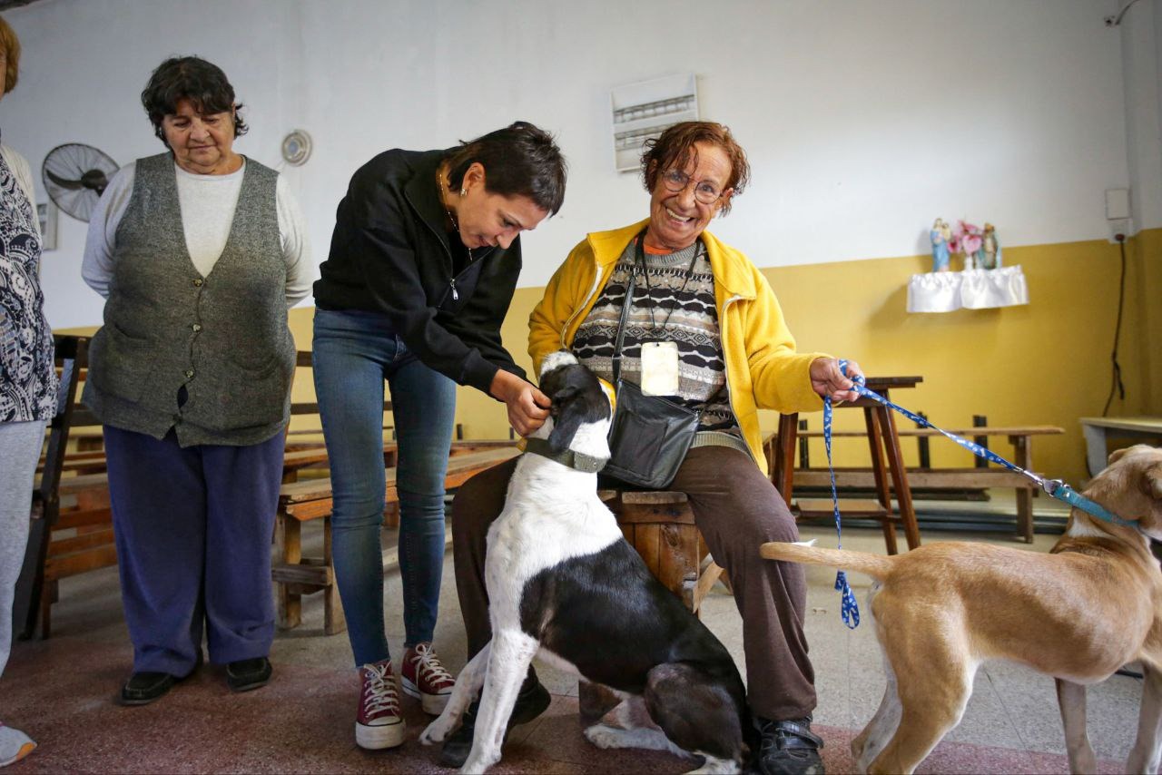 Mayra participó de un nuevo operativo de castración y vacunación en Quilmes Oeste