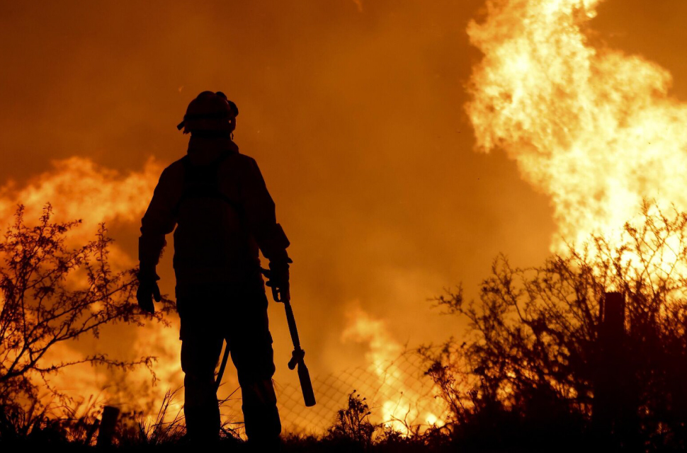 El nuevo secretario de ambiente afirmó que el gobierno falló en la prevención de incendios