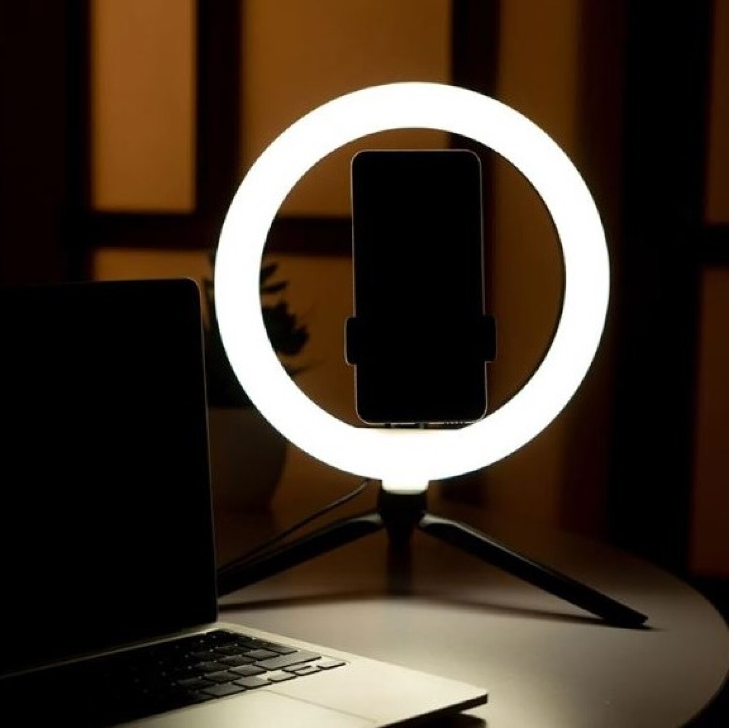 El Incaa pasó de financiar cine a fomentar la carrera de tiktokers, youtubers e instragramers