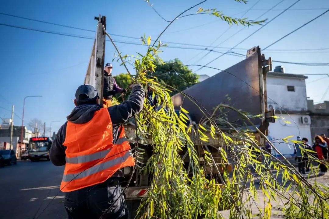 Continúan los operativos de poda correctiva en  barrios quilmeños